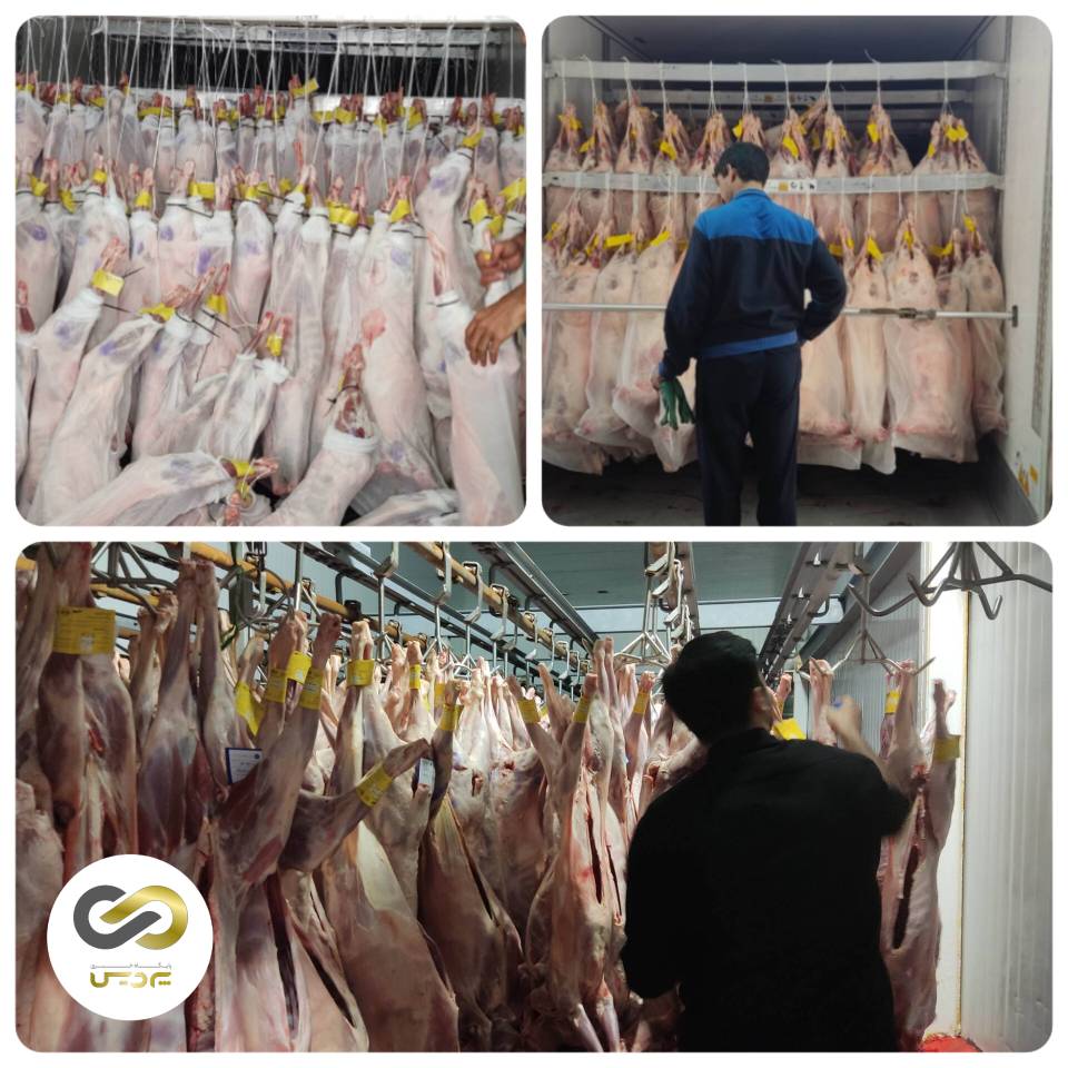 واردات بیش از 4500 تن گوشت از ابتدای سال تاکنون